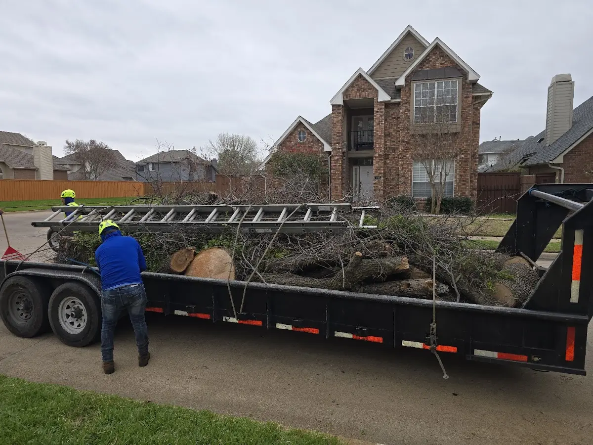Expert Tree Pest Control with proper safety equipment in Paron